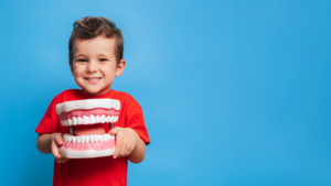 a child smiling and holding a model of teeth